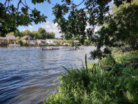 Walton-on-Thames Travel Forum Reviews
