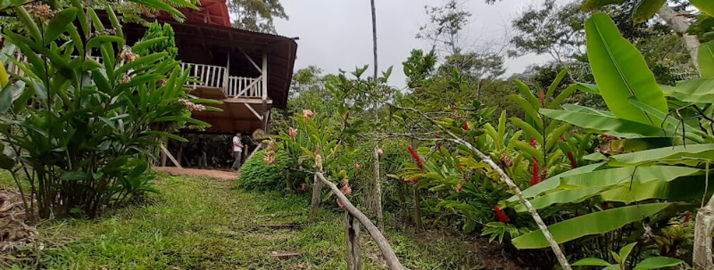 Waqanki Lodge Travel Forum Reviews