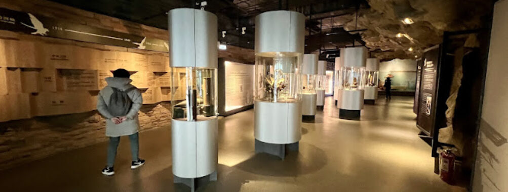 War and Peace Memorial Park Exhibition Center Travel Forum Reviews