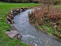 Ward River Valley Park Travel Forum Reviews