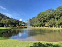 Wat Pa Tam Wua Travel Forum Reviews