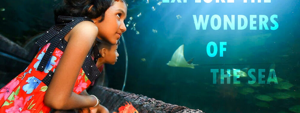 Water World Kelaniya Travel Forum Reviews