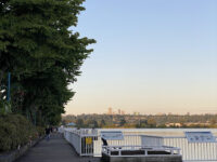 Waterfront Esplanade Park Travel Forum Reviews