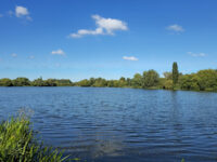 Watermead Country Park Travel Forum Reviews