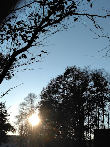 Waterville Park