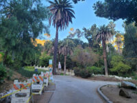 Wattles Garden Park Travel Forum Reviews