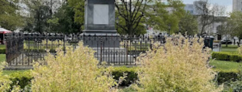Watts Park Travel Forum Reviews