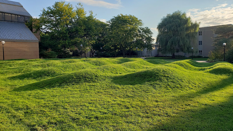 Wave Field — Reviews, Tips & Photos (2026) | RJT