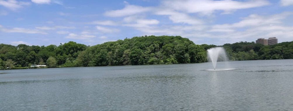 Weequahic Park Travel Forum Reviews