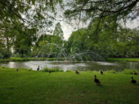 Weizigtpark Travel Forum Reviews