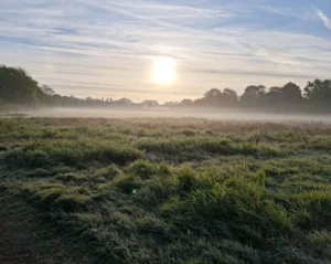 Welches Meadow