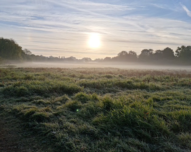 Welches Meadow