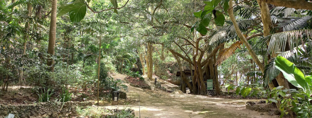 Welchman Hall Gully Travel Forum Reviews