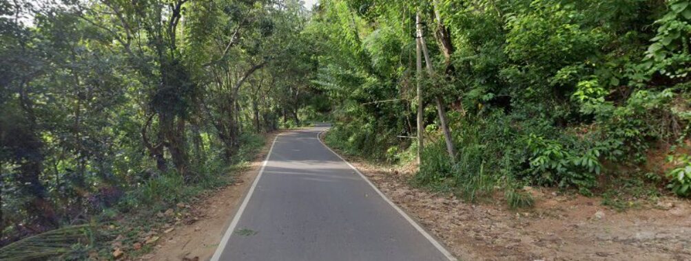 Weligamage Estate Travel Forum Reviews