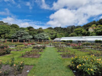 Wellington Botanic Garden Travel Forum Reviews