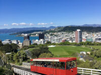 Wellington Cable Car Travel Forum Reviews