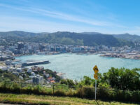 Wellington Travel Forum Reviews