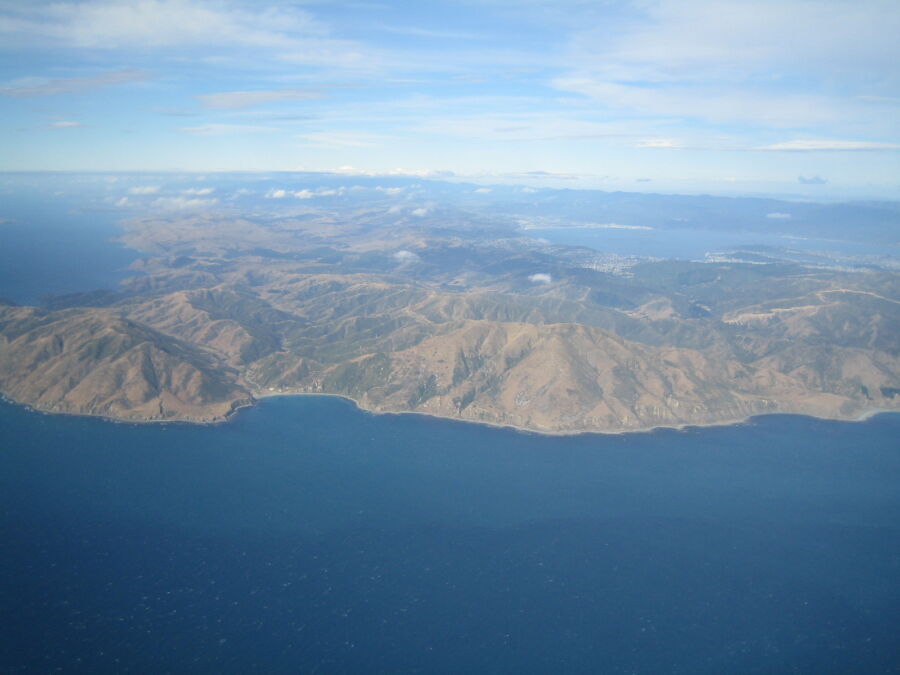 Wellington Scenic full-day private tour with lunch Review