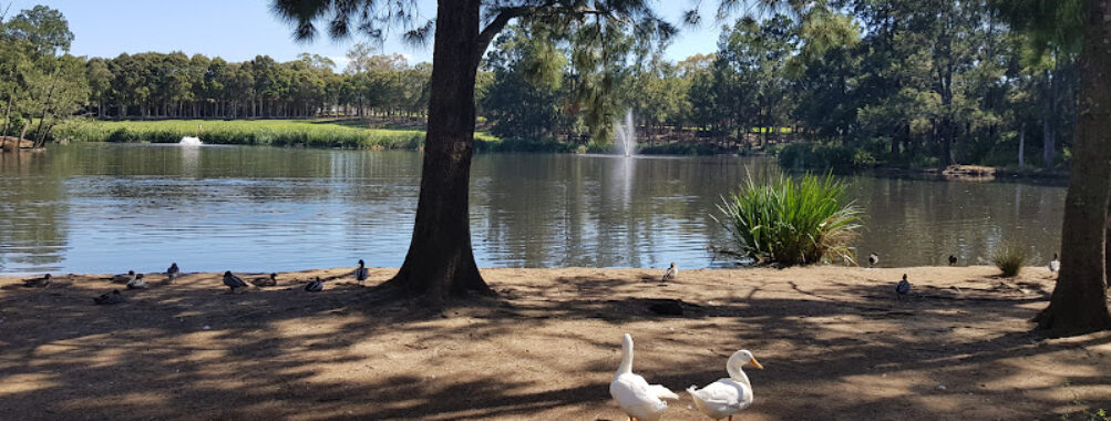 Werrington Lake Reserve Travel Forum Reviews