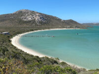 West Coast National Park Marine Protected Area Travel Forum Reviews