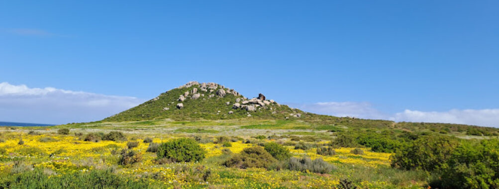 West Coast National Park - West Coast DC Travel Forum Reviews