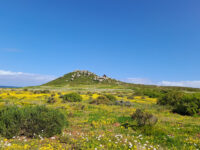 West Coast National Park - West Coast DC Travel Forum Reviews