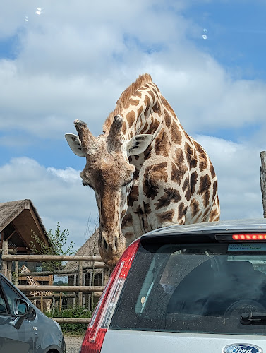West Midlands Safari Park