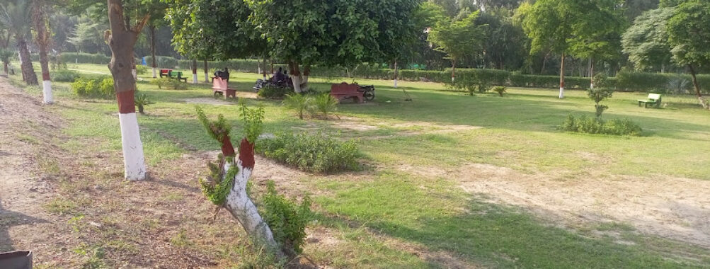 Western Okara ByPass Park Travel Forum Reviews