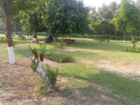 Western Okara ByPass Park Travel Forum Reviews