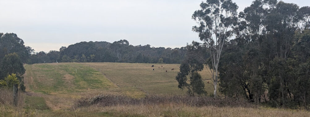 Western Sydney Parklands Travel Forum Reviews