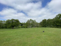 Westmorland Park Travel Forum Reviews