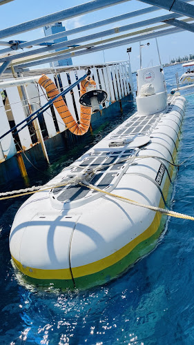 Whale Submarine