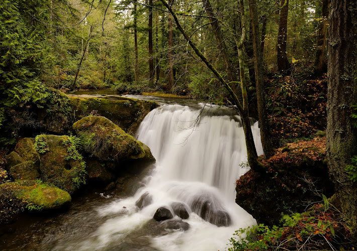 Whatcom Falls Park