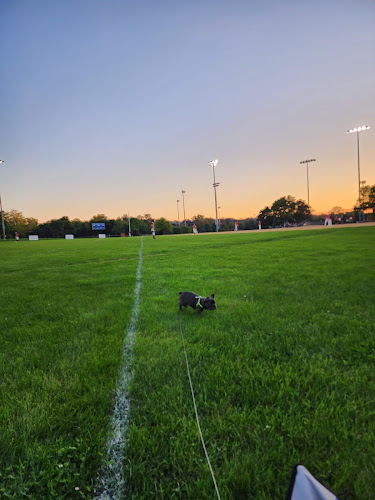 Wheaton field