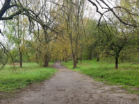 Whinfield Woods Travel Forum Reviews