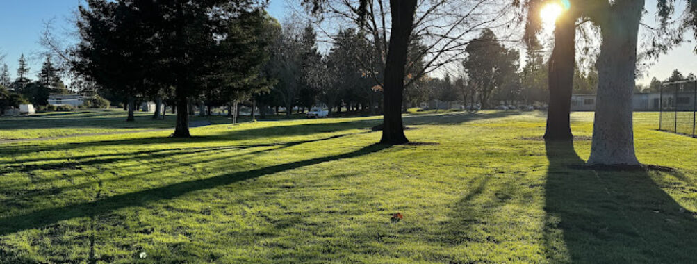 Whisman Park Travel Forum Reviews