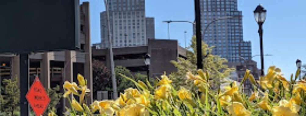 White Plains Travel Forum Reviews
