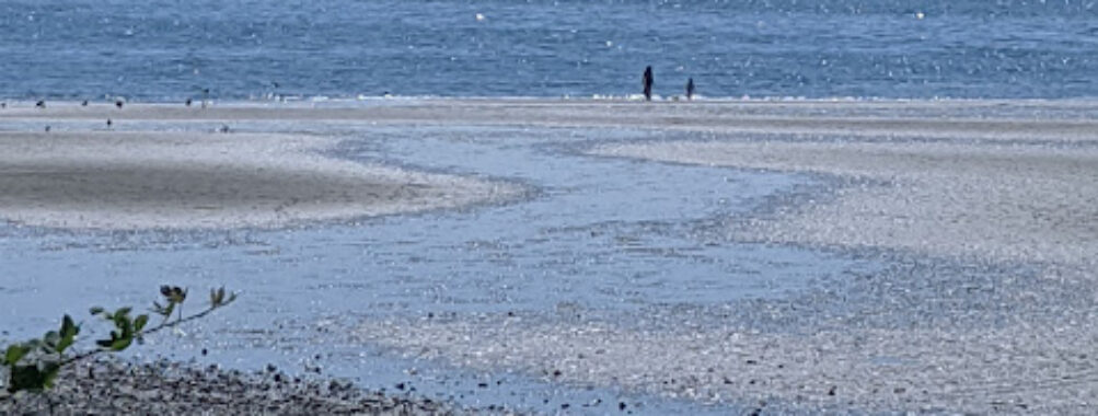 White Rock Promenade Travel Forum Reviews