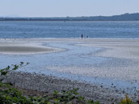 White Rock Promenade Travel Forum Reviews