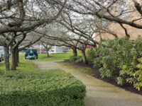 White Rock Recreation & Culture Travel Forum Reviews
