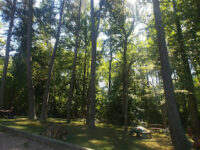 Wilburdale Park Travel Forum Reviews