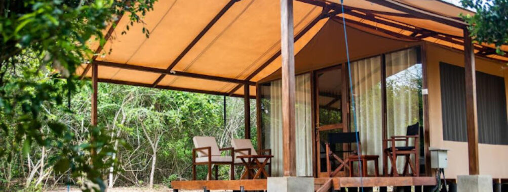 Wild Trails Yala By Suri Travel Forum Reviews