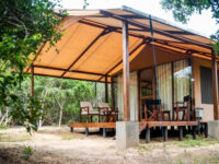 Wild Trails Yala By Suri Travel Forum Reviews