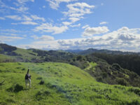 Wildcat Canyon Regional Park Travel Forum Reviews