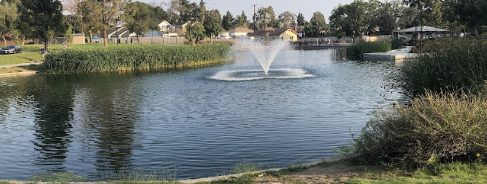 Wilderness Park Travel Forum Reviews