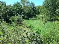 Wilderness Park Travel Forum Reviews