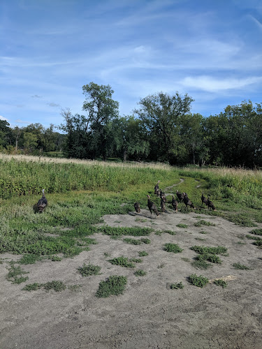 Wildflower Grove Park