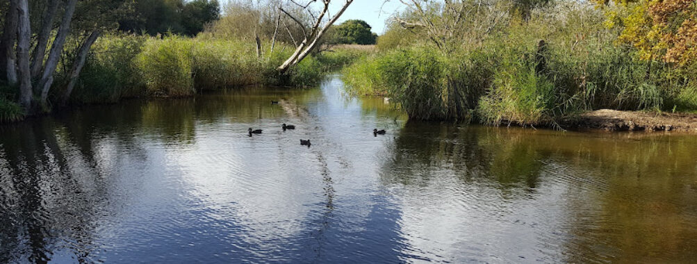 Wildgrounds Nature Reserve Travel Forum Reviews