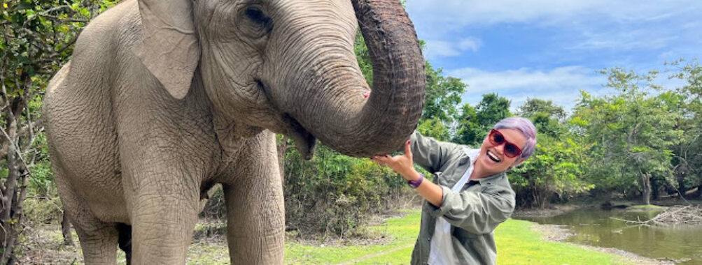 Wildlife Alliance Behind the Scenes Tour at Phnom Tamao Travel Forum Reviews