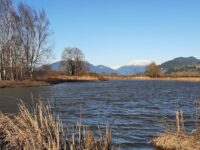 Willband Creek Park Travel Forum Reviews